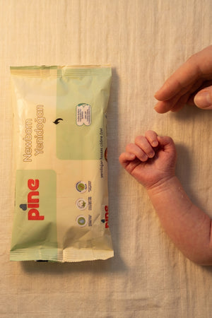 Pine Newborn Wipes 24-Piece Case